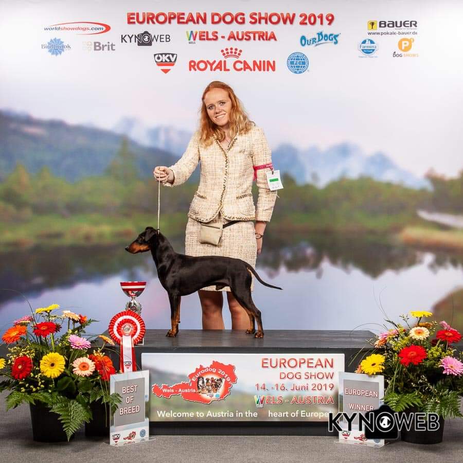 bradpitteurodogshow2019